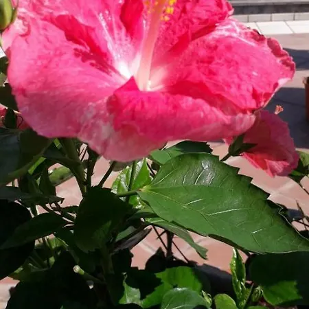 Apartment Aquamarine Relaxing