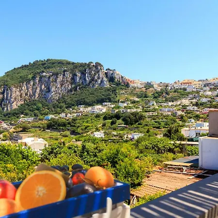 Aquamarine Relaxing Apartment Capri